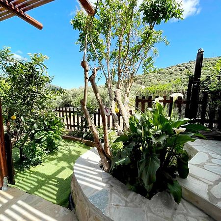 Platipodi Stone House Villa Nikithianos Exterior photo